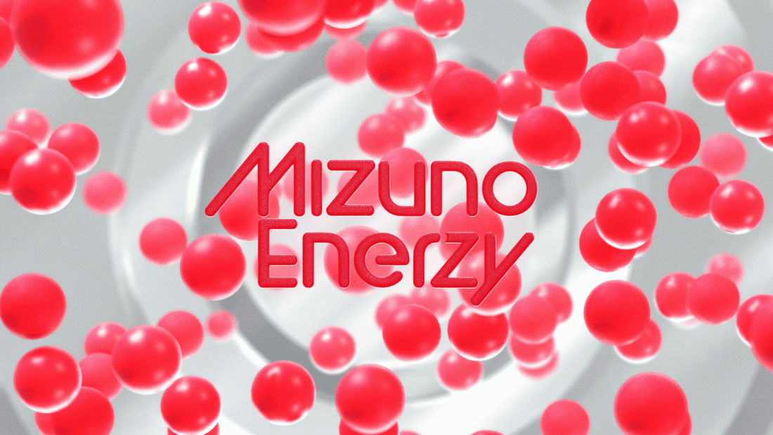 Mizuno Energy